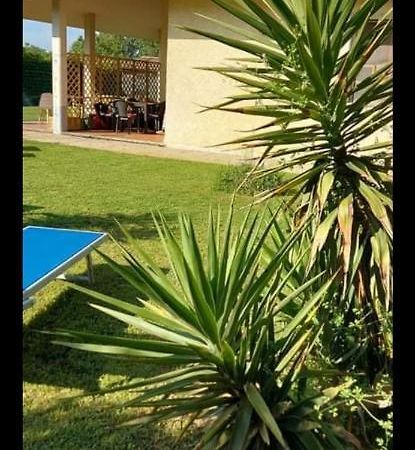 Green Garden Виареджо Экстерьер фото